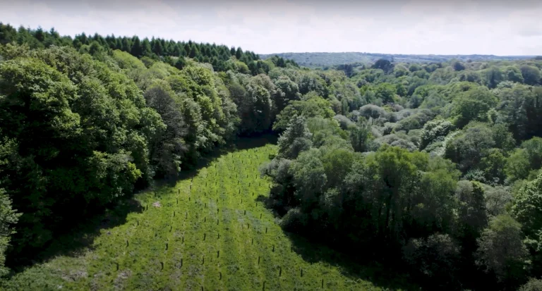 Start People et EcoTree : quand l’emploi s&rsquo;engage pour le vivant
