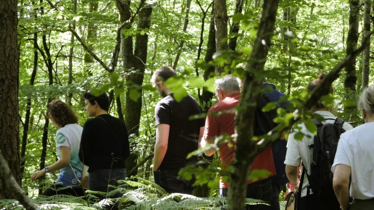 Sortie d'équipe en forêt