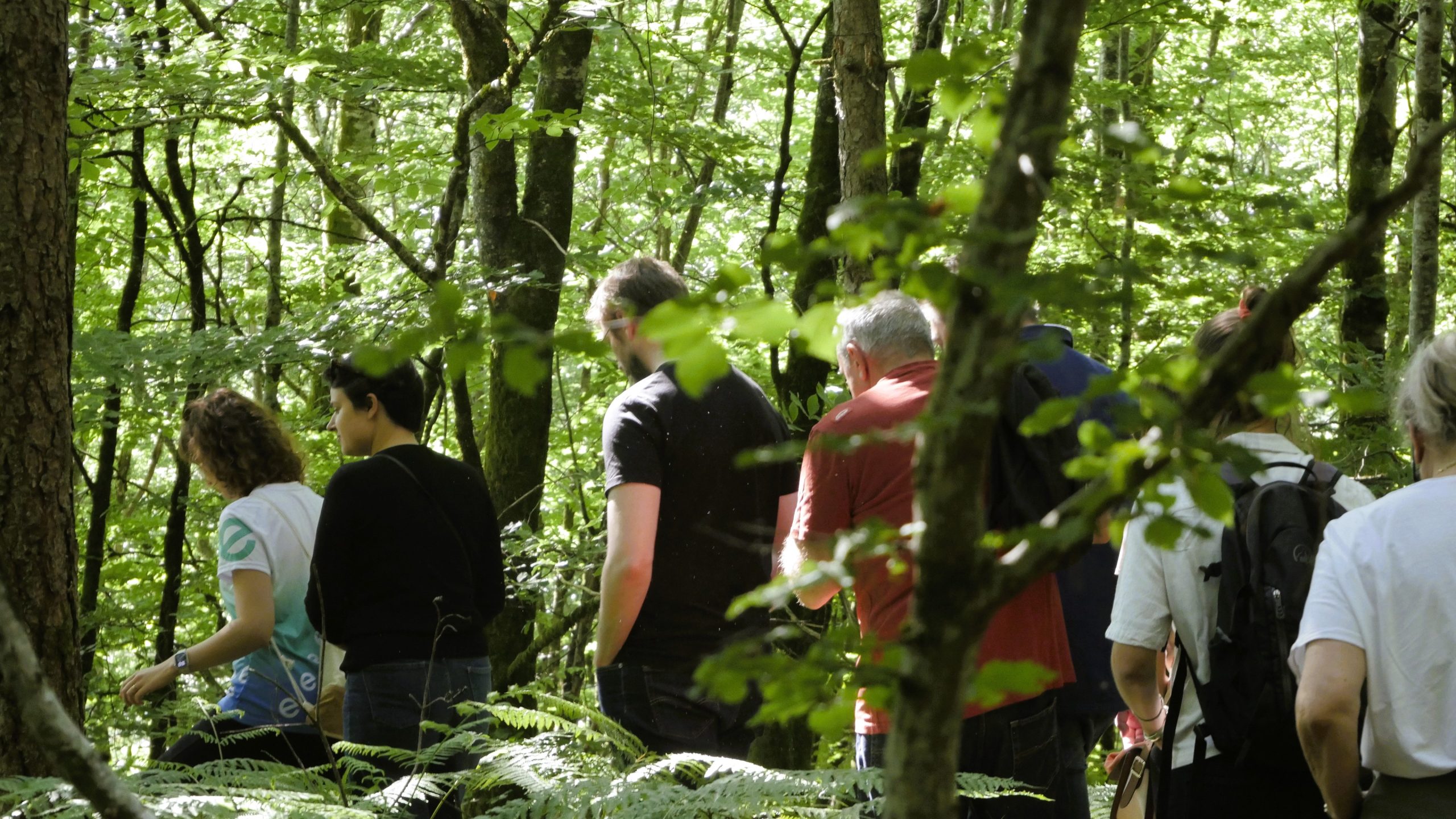 Sortie d'équipe en forêt